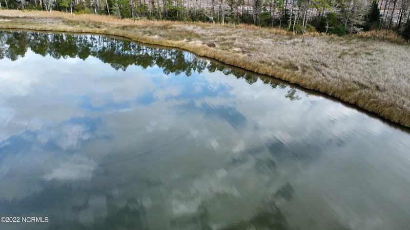 2.7 ACRE COASTAL PROPERTY FOR SALE IN BEAUTIFUL MERRIMON BAY! - photo 31