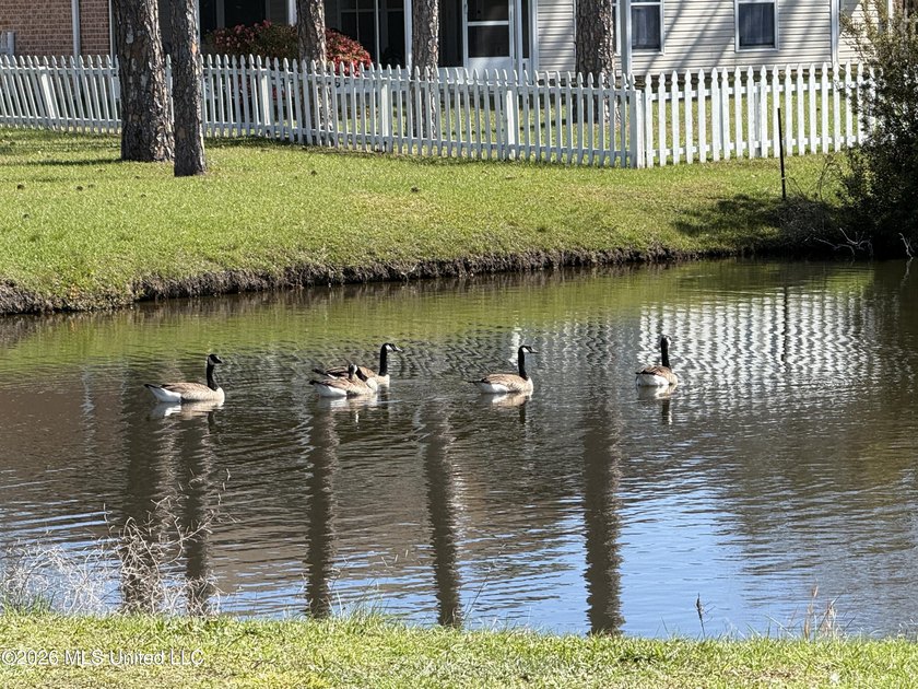 Opportunity is knocking at Lakeview Townhomes on Capri Place in - photo 42