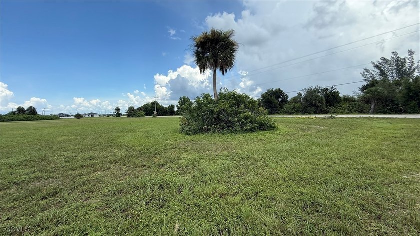 Price Reduced to sell!! Oversized Corner Lot in Sought-After - photo 3