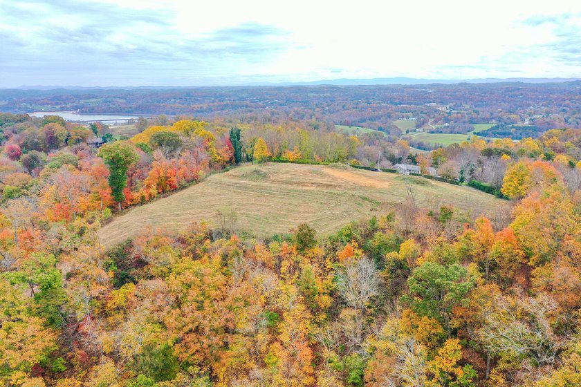 2.7 Acres of Breathtaking Cherokee Lake Views. This gorgeous - photo 4