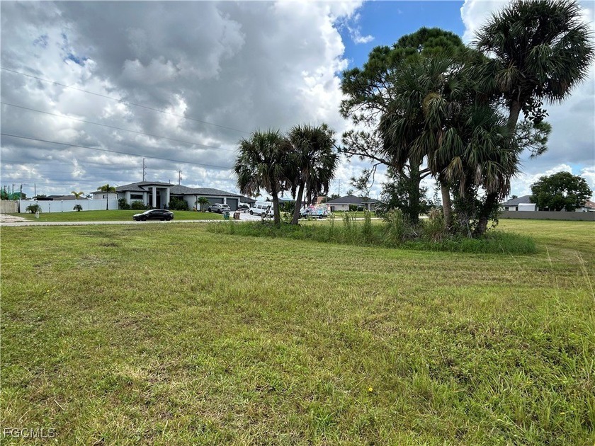 Rare TRIPLE LOT opportunity in Cape Coral's lower NW section! - photo 8