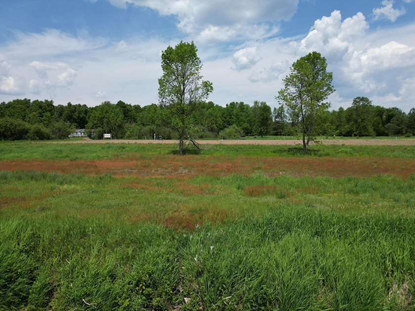 Beautiful Level Lot On Big Butternut Lake. Have your own Builder - photo 5