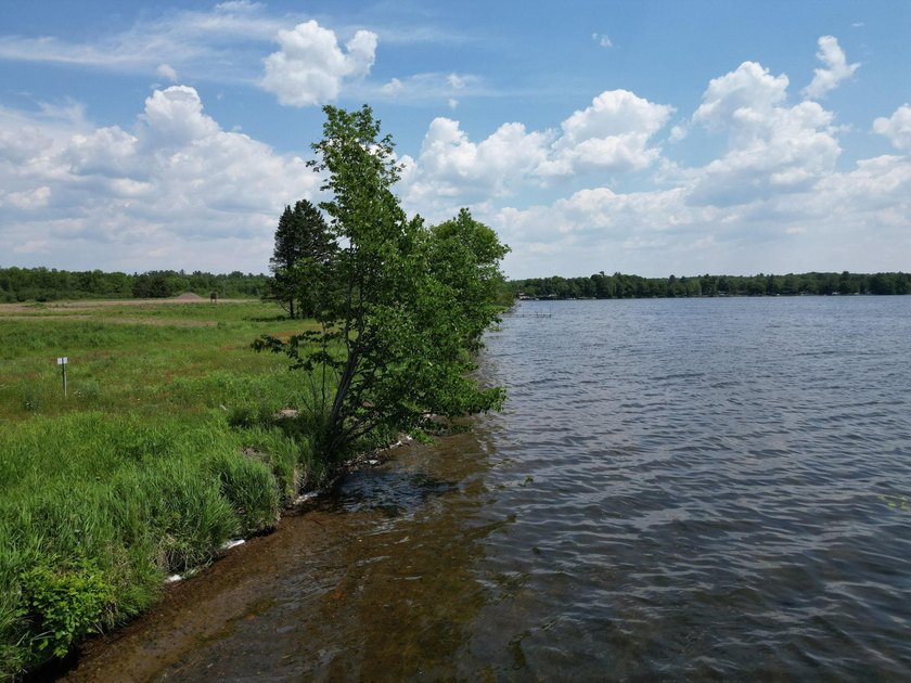 Beautiful Level Lot On Big Butternut Lake. Have your own Builder - photo 7