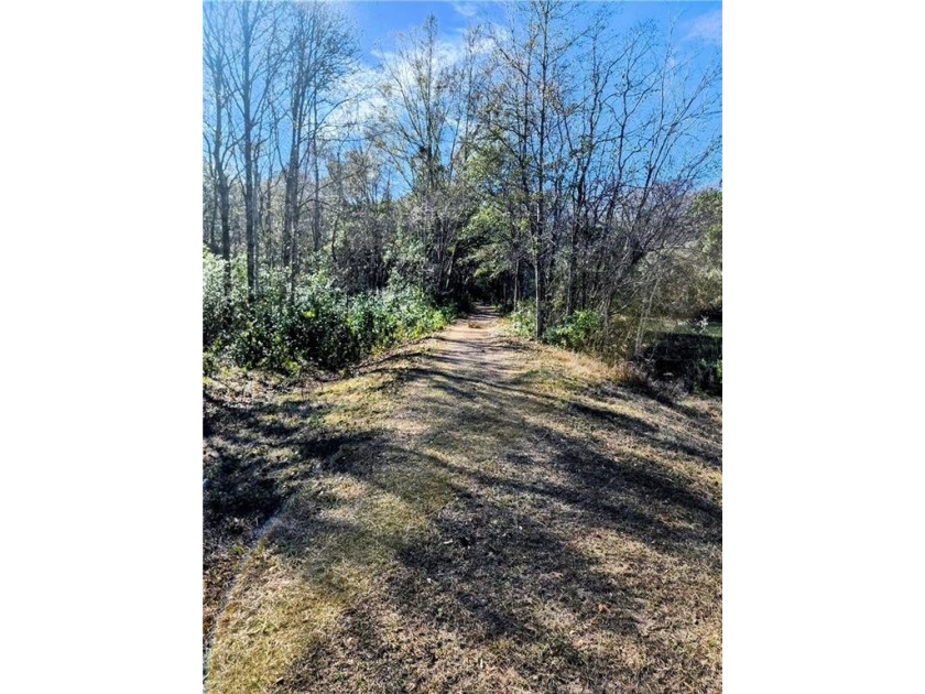 Two Spacious Horse-friendly Lots in West Mobile, AL Here's your - photo 2