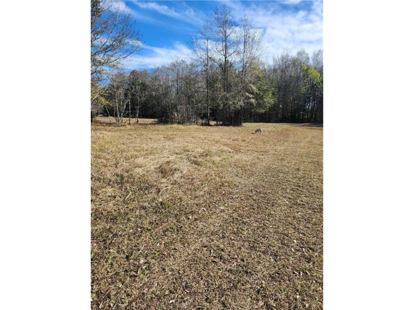Two Spacious Horse-friendly Lots in West Mobile, AL Here's your - photo 4