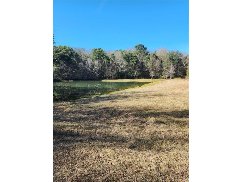 Two Spacious Horse-friendly Lots in West Mobile, AL Here's your - photo 5