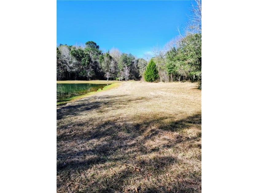 Two Spacious Horse-friendly Lots in West Mobile, AL Here's your - photo 7