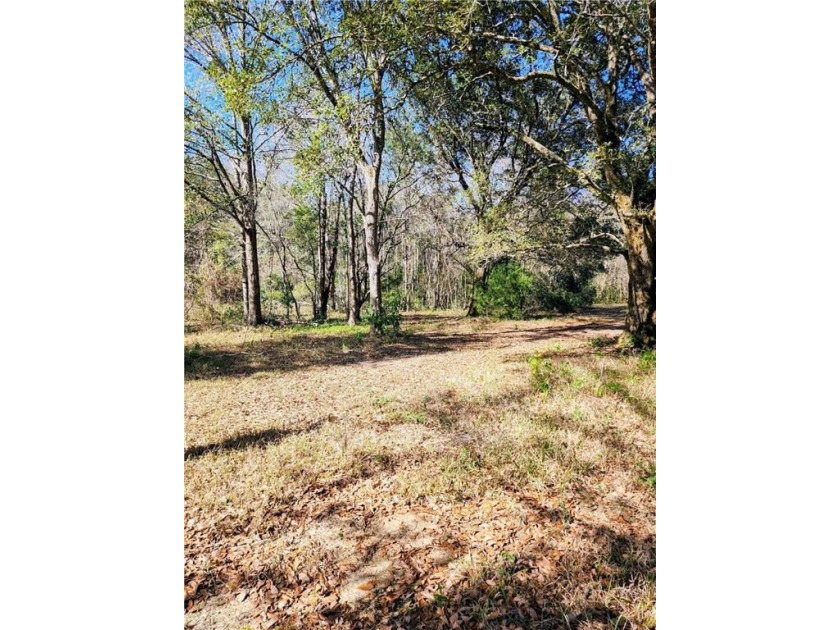 Two Spacious Horse-friendly Lots in West Mobile, AL Here's your - photo 8
