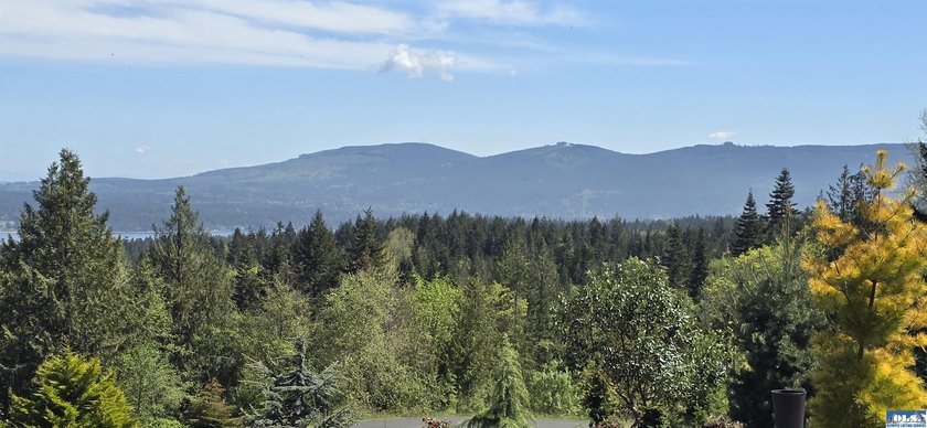 Discover an unparalleled opportunity to craft your dream home on - photo 17