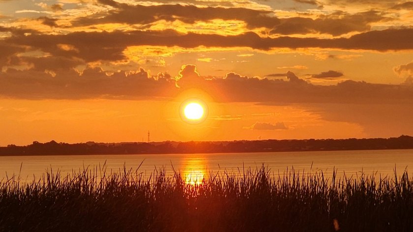 33220 Sand Dune Lane is is located in beautiful Lake Griffin - photo 30