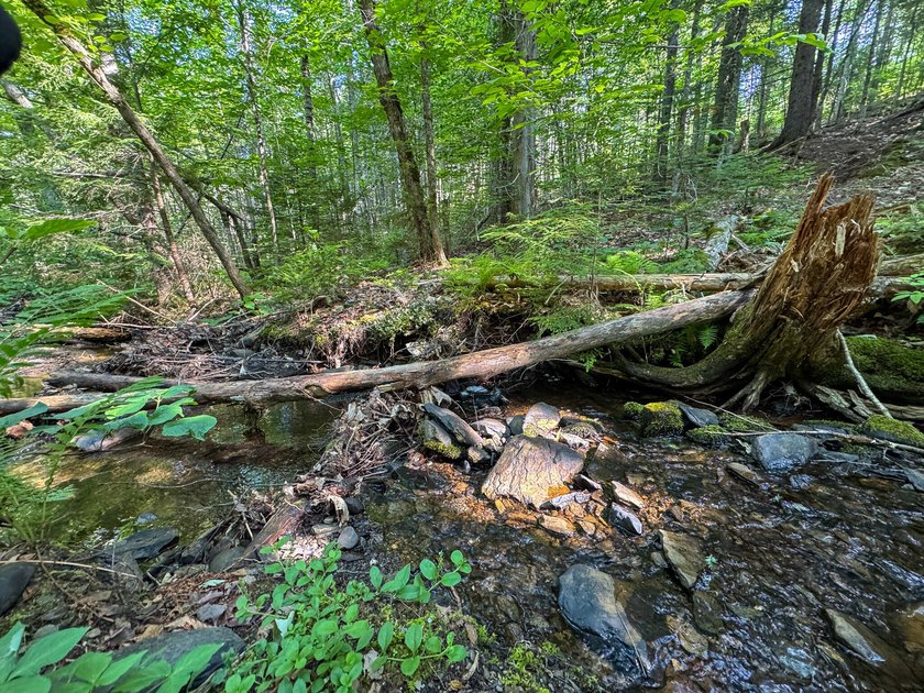 Welcome to 498 Freedom Road in Prentiss, Maine, an affordable - photo 18