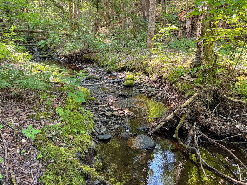 Welcome to 498 Freedom Road in Prentiss, Maine, an affordable - photo 20