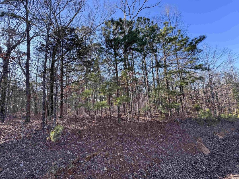 Mineral rights convey with this exceptional property! Featuring - photo 4