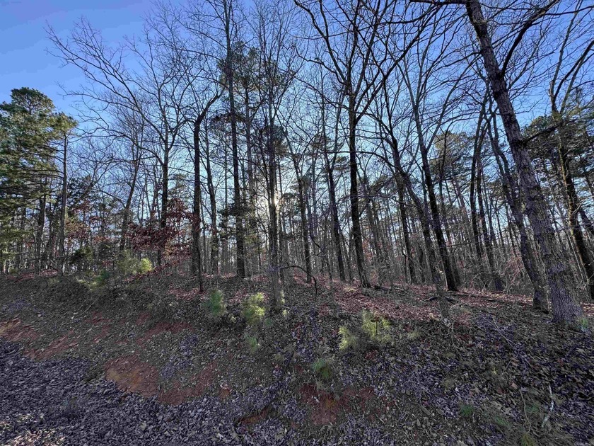 Mineral rights convey with this exceptional property! Featuring - photo 7