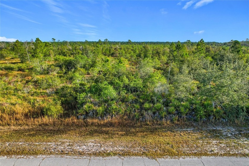 Build your Florida dream on this 1-acre homesite located at Lot - photo 3