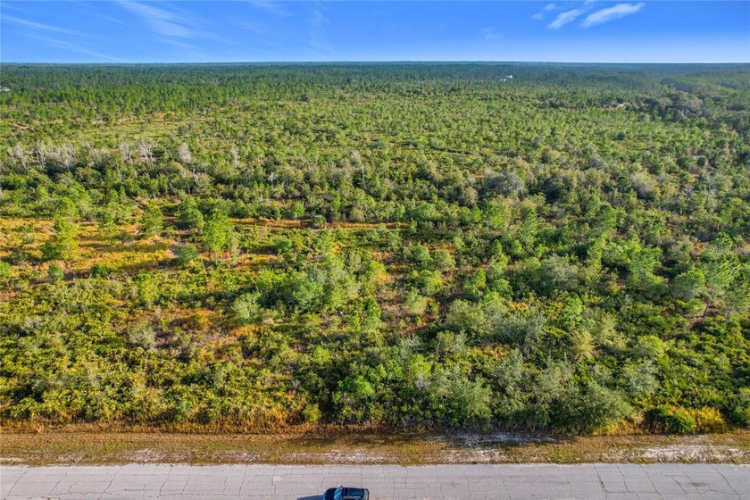 Build your Florida dream on this 1-acre homesite located at Lot - photo 4