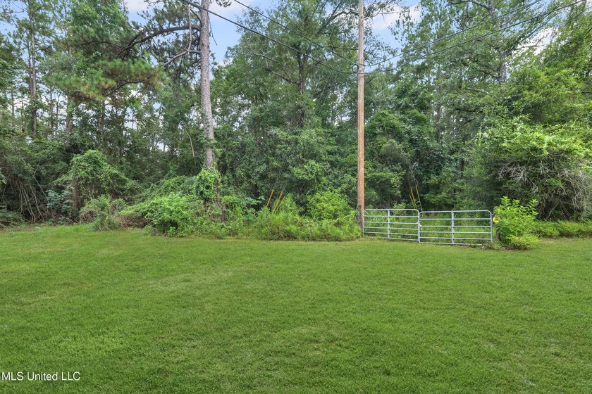 74.8 acres of beautiful property with oaks, magnolias, pines &amp; - photo 11