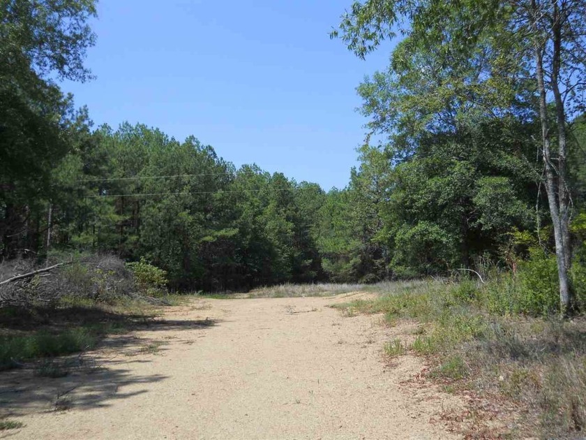 Perfect place to build a dream home or investors could build - photo 2