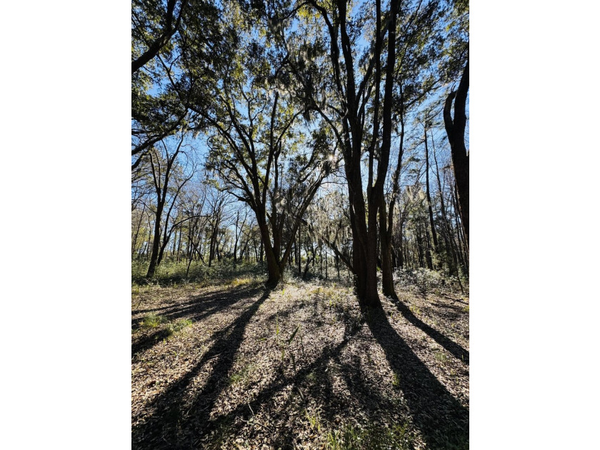Discover the beauty and serenity of Edisto Island with this - photo 2