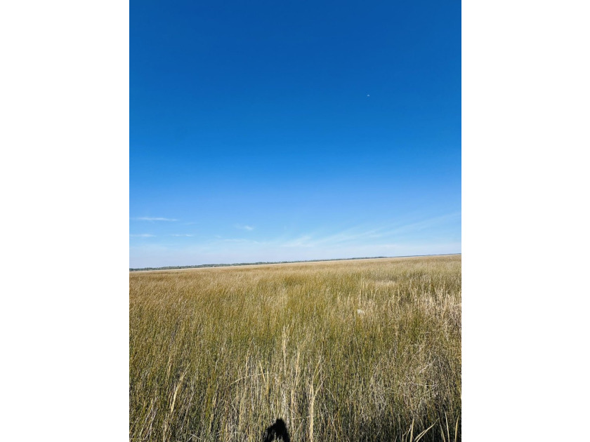 Discover the beauty and serenity of Edisto Island with this - photo 7