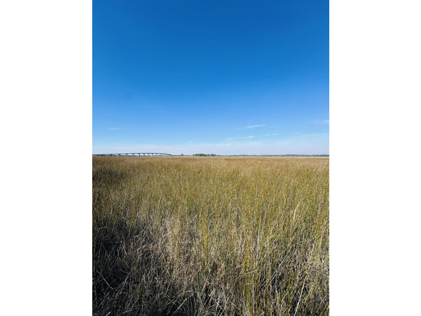 Discover the beauty and serenity of Edisto Island with this - photo 8