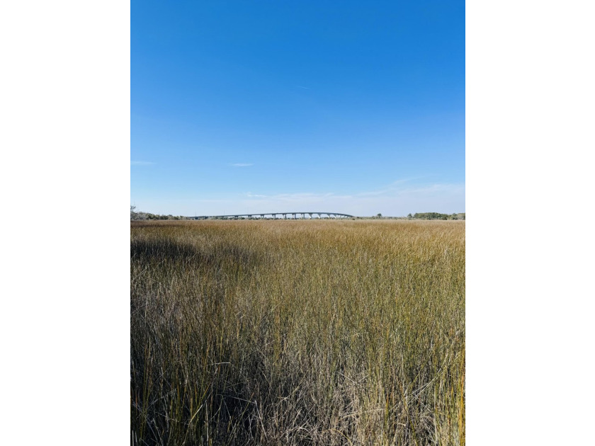 Discover the beauty and serenity of Edisto Island with this - photo 9