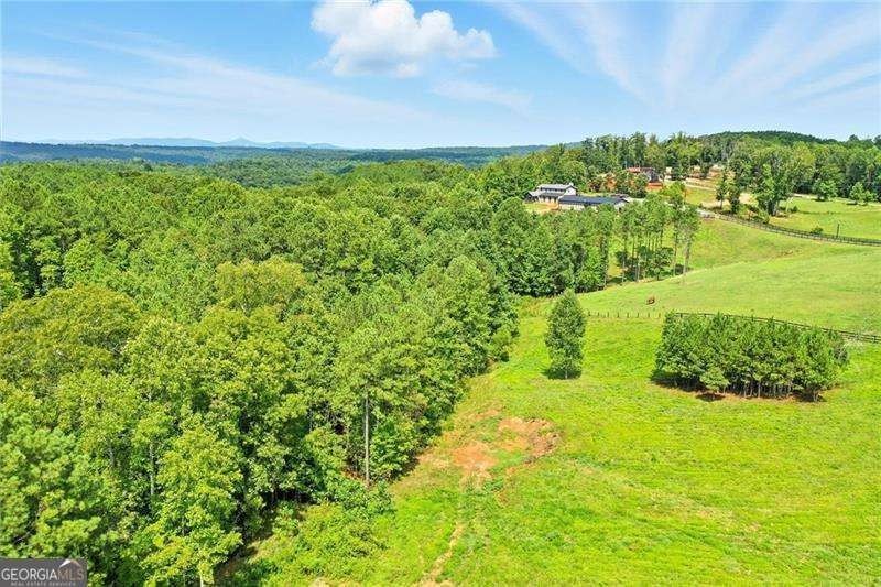 **NEW FANTASTIC PRICE FOR OVER 8 ACRES IN DESIRABLE BALL GROUND - photo 11
