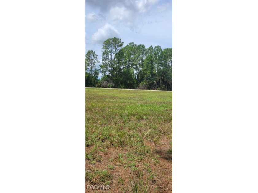Beautiful lot in great location NE Cape Coral area. Cape Coral - photo 3