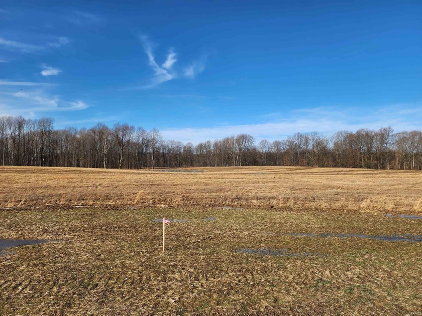 Welcome to a rare opportunity to build on 4-10 acre tracts in a - photo 10