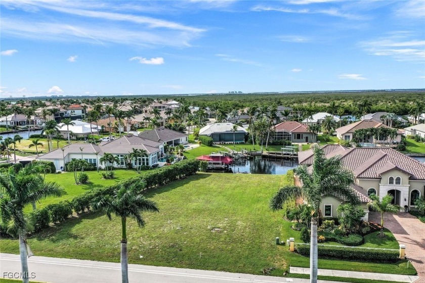 Welcome to the last sizeable lot for sale in Cape Coral's Cape - photo 3