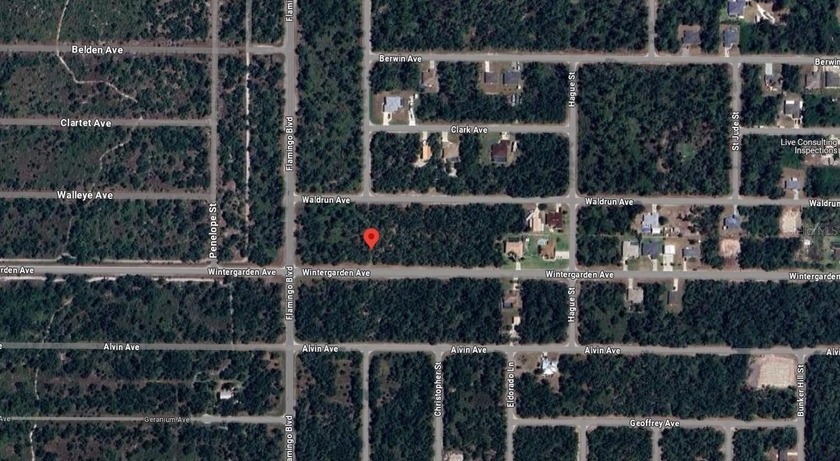 OVERSIZED lot located in Port Charlotte. NO HOA FEES! Perfect - photo 2