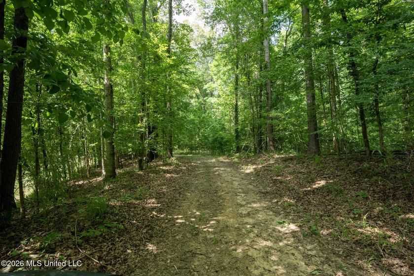 Whitetail Deer and Turnkey hunting, fishing, and timber - photo 15