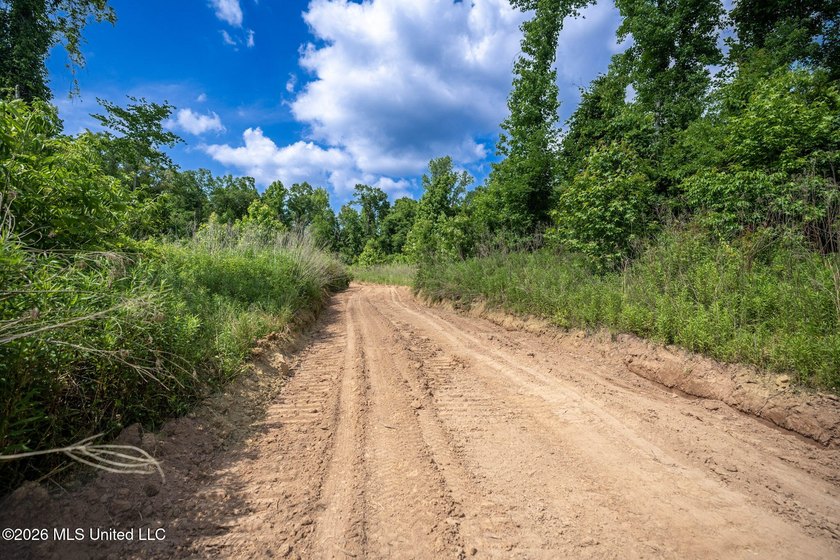 Whitetail Deer and Turnkey hunting, fishing, and timber - photo 25