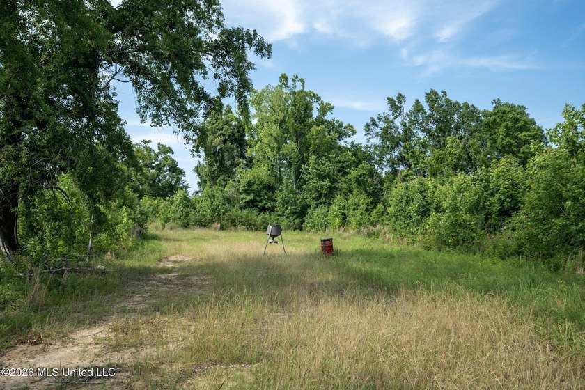 Whitetail Deer and Turnkey hunting, fishing, and timber - photo 27