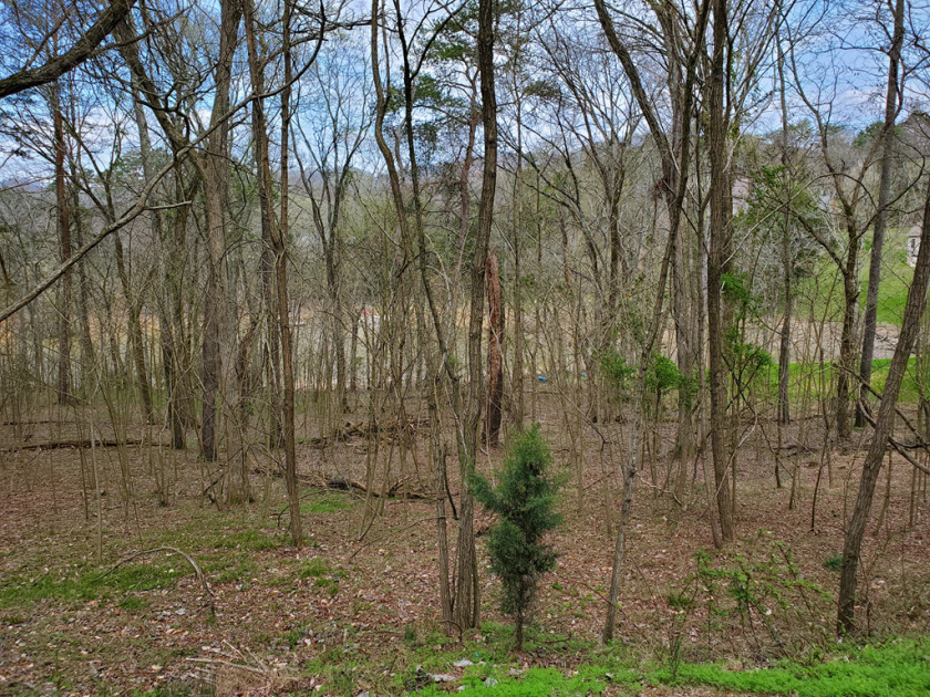 Cherokee Lake Front Building Lot SOLD - photo 9