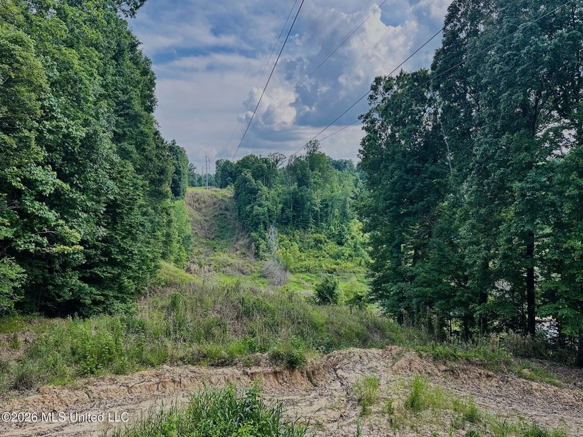 Whitetail Deer and Turnkey hunting, fishing, and timber - photo 34