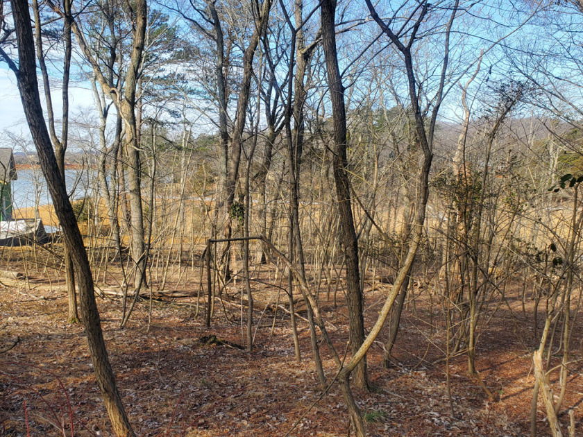 Cherokee Lake Front Building Lot SOLD - photo 6