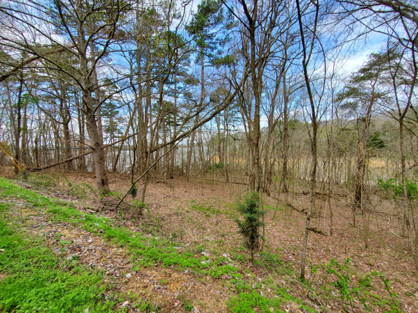 Cherokee Lake Front Building Lot SOLD - photo 11