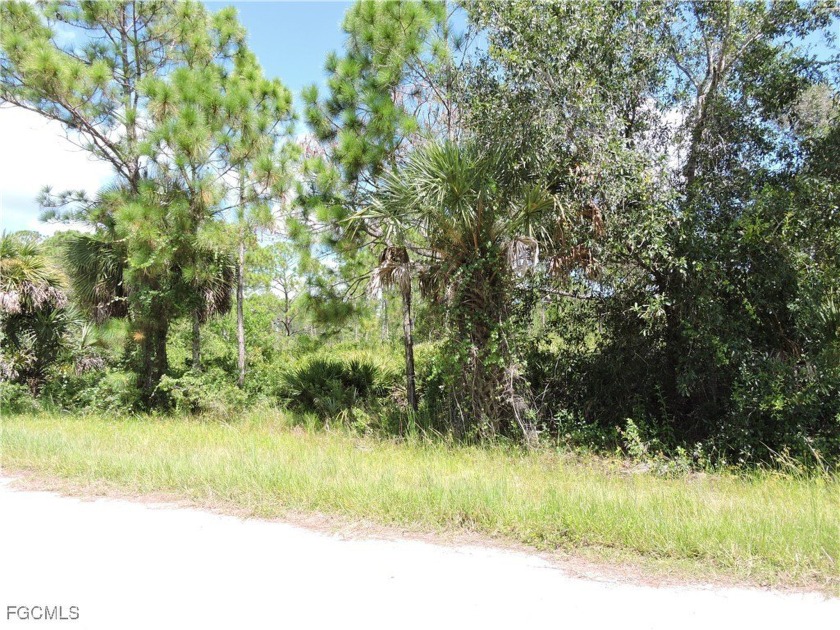 Very nice lot located just a few miles from the Gulf Beaches - photo 3