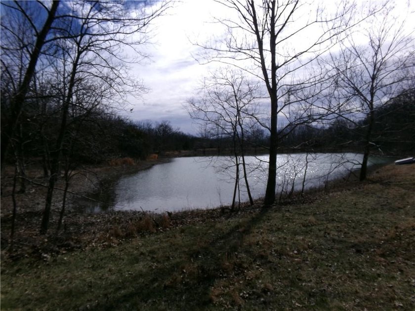 Discover 32 acres of pure, untouched land an ideal retreat for - photo 16