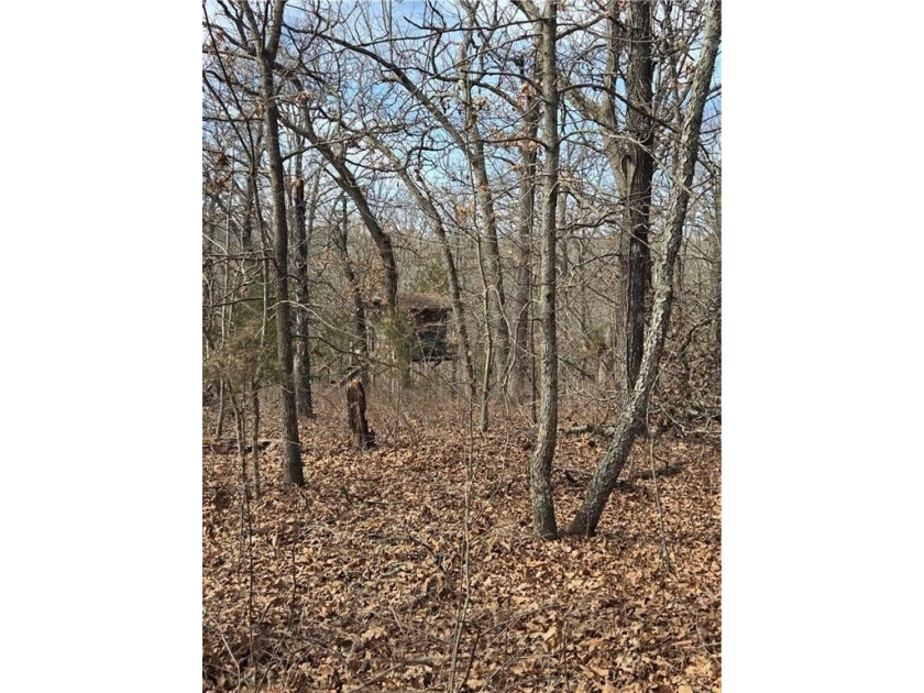 Discover 32 acres of pure, untouched land an ideal retreat for - photo 18