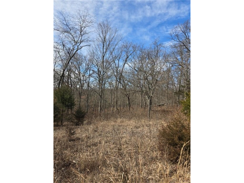 Discover 32 acres of pure, untouched land an ideal retreat for - photo 20
