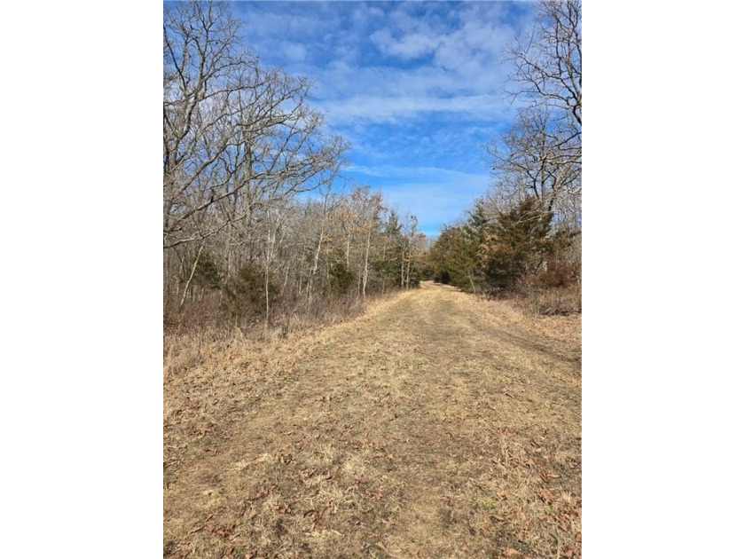 Discover 32 acres of pure, untouched land an ideal retreat for - photo 23