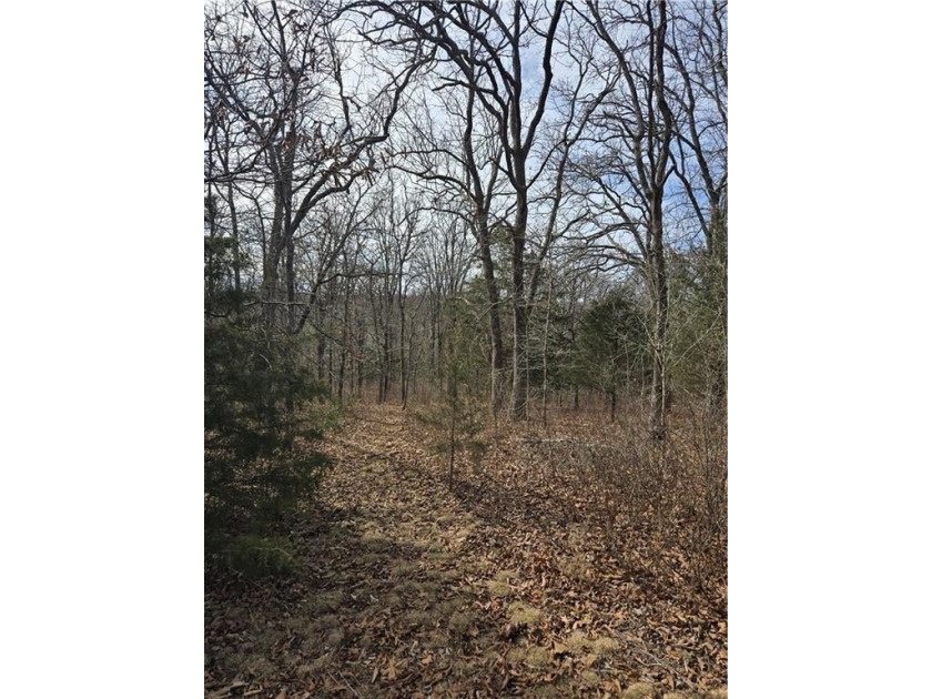 Discover 32 acres of pure, untouched land an ideal retreat for - photo 25