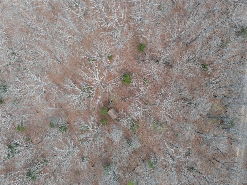 Discover 32 acres of pure, untouched land an ideal retreat for - photo 29