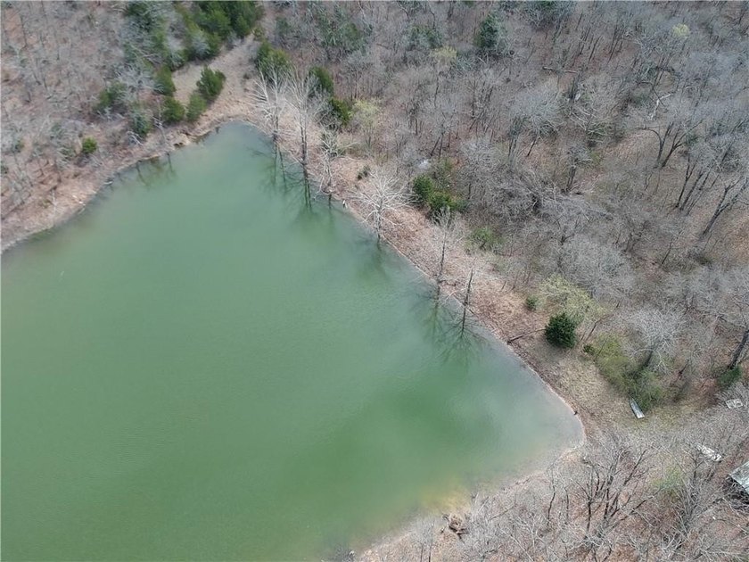 Discover 32 acres of pure, untouched land an ideal retreat for - photo 34