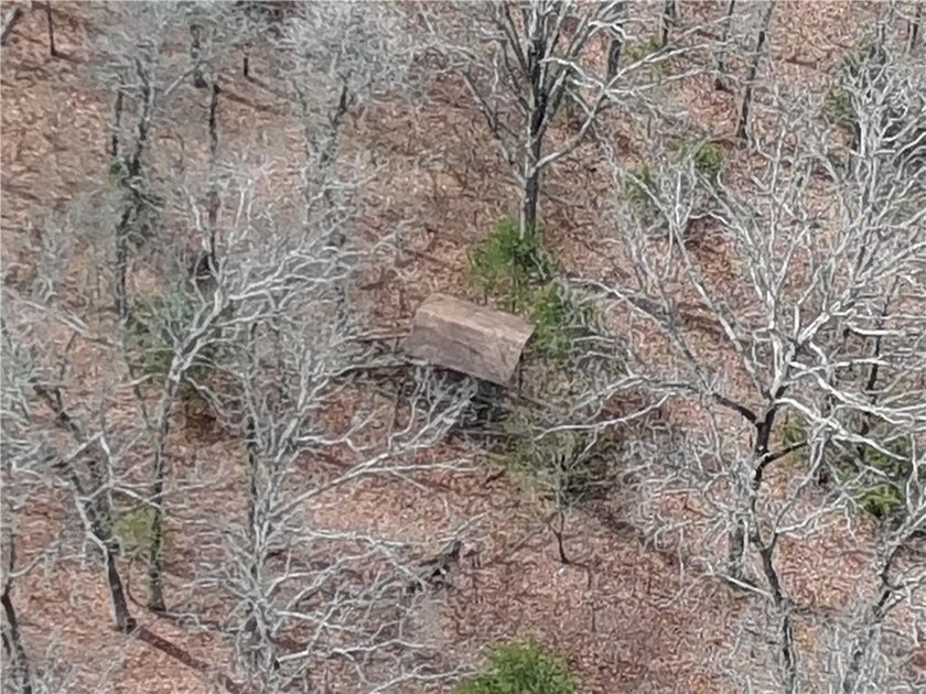 Discover 32 acres of pure, untouched land an ideal retreat for - photo 35