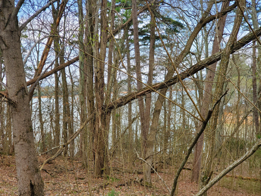 Cherokee Lake Front Building Lot SOLD - photo 7