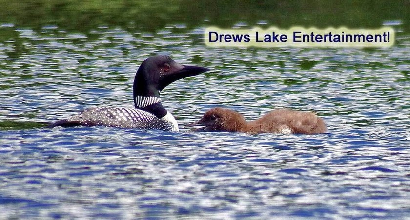 Land In Maine For Low Cost Vacation Getaways. Work, Work Some - photo 4