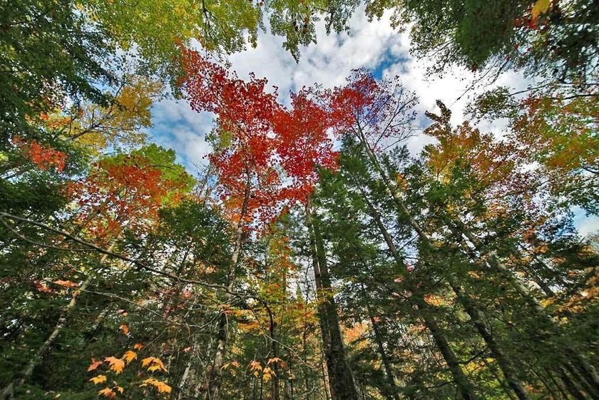 Land In Maine For Low Cost Vacation Getaways. Work, Work Some - photo 8